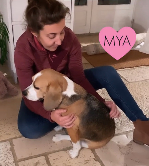 Pauline en action 11