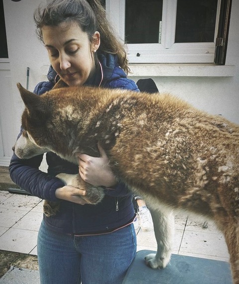 Pauline en action 13