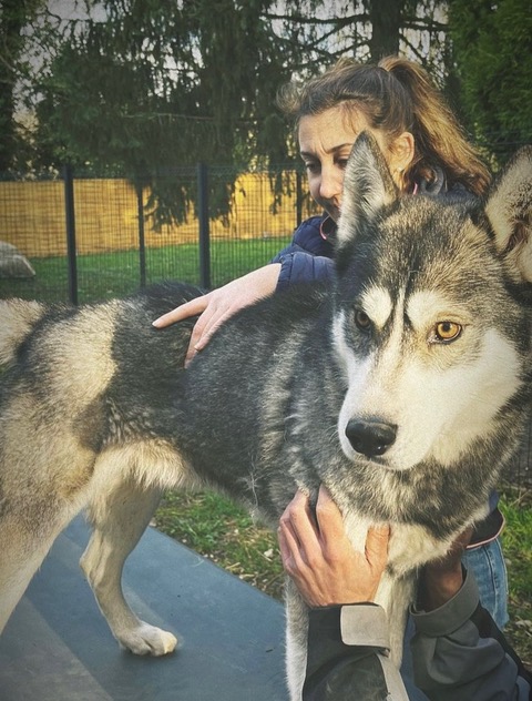 Pauline en action 14