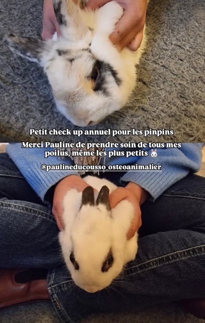 Pauline en action 16